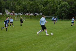 fiksrekvvil22011 007